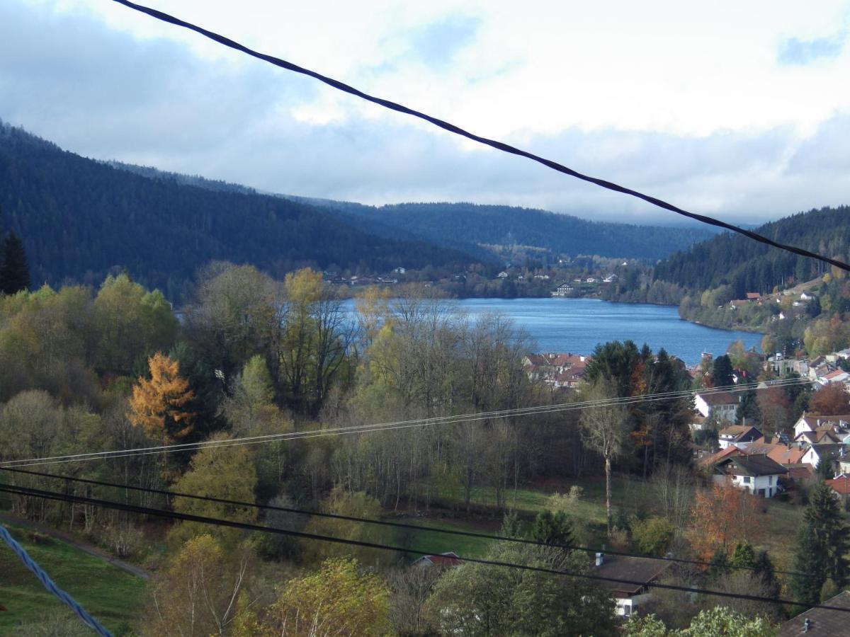 Au Grenier Du Lac Gérardmer Eksteriør bilde